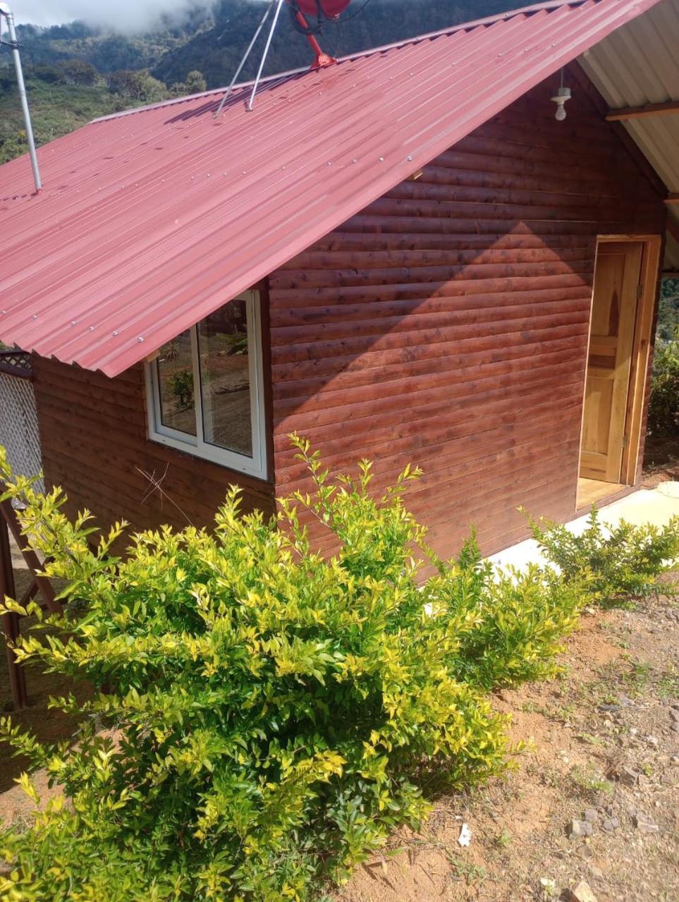 Mario'S Lodge Providencia Copey Exterior photo